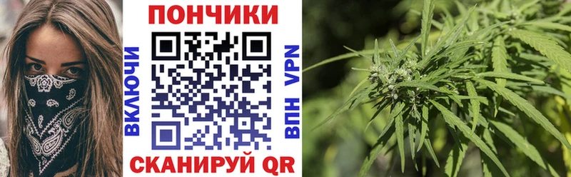 Купить  Городище  Шишки марихуана MAZAR 